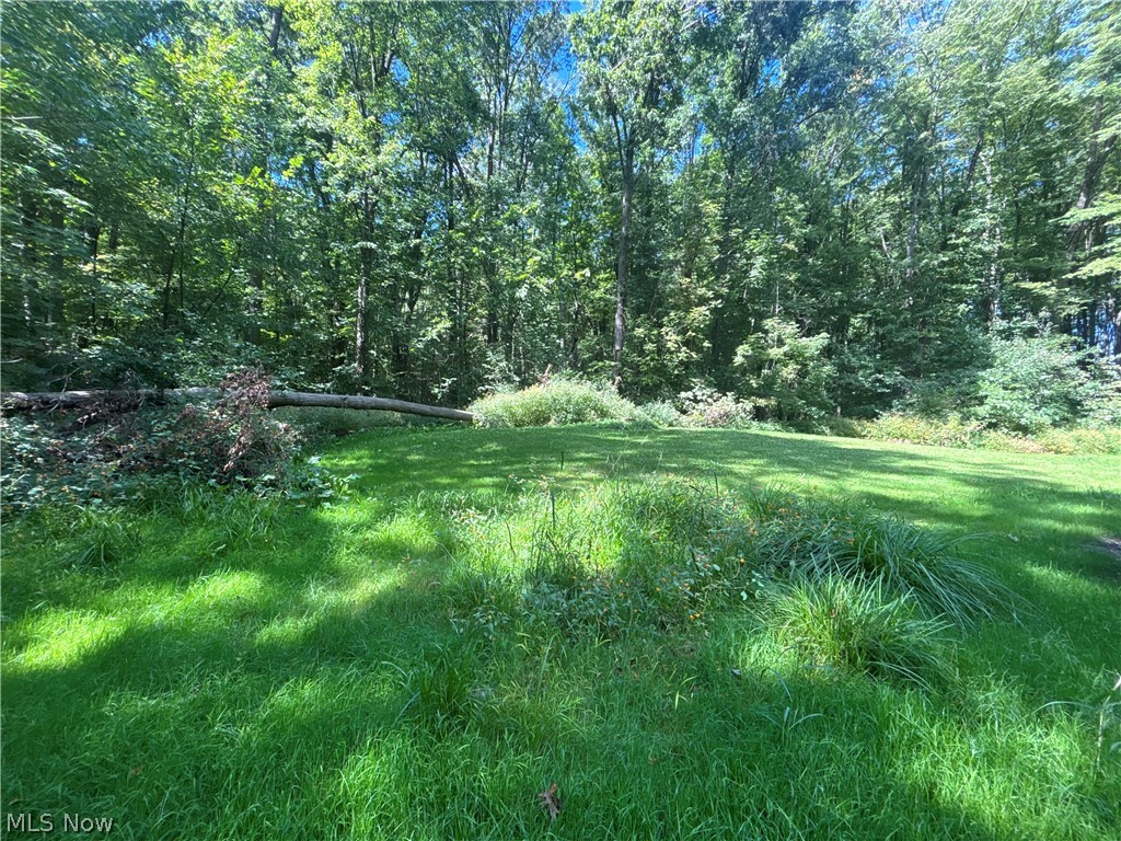 9231 Horn Road Windham OH 44288