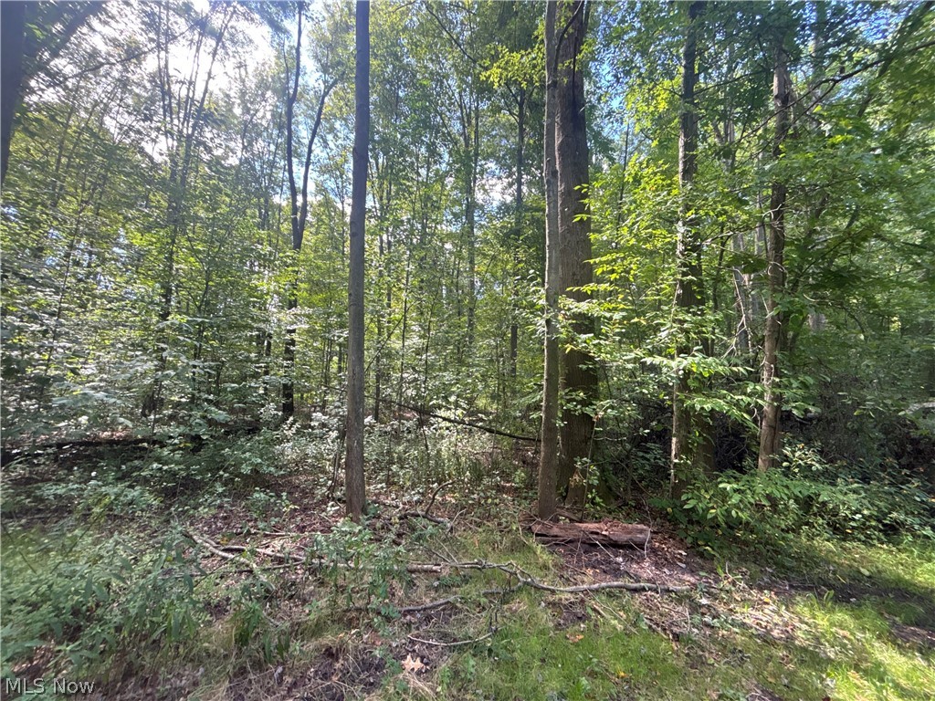 9231 Horn Road Windham OH 44288