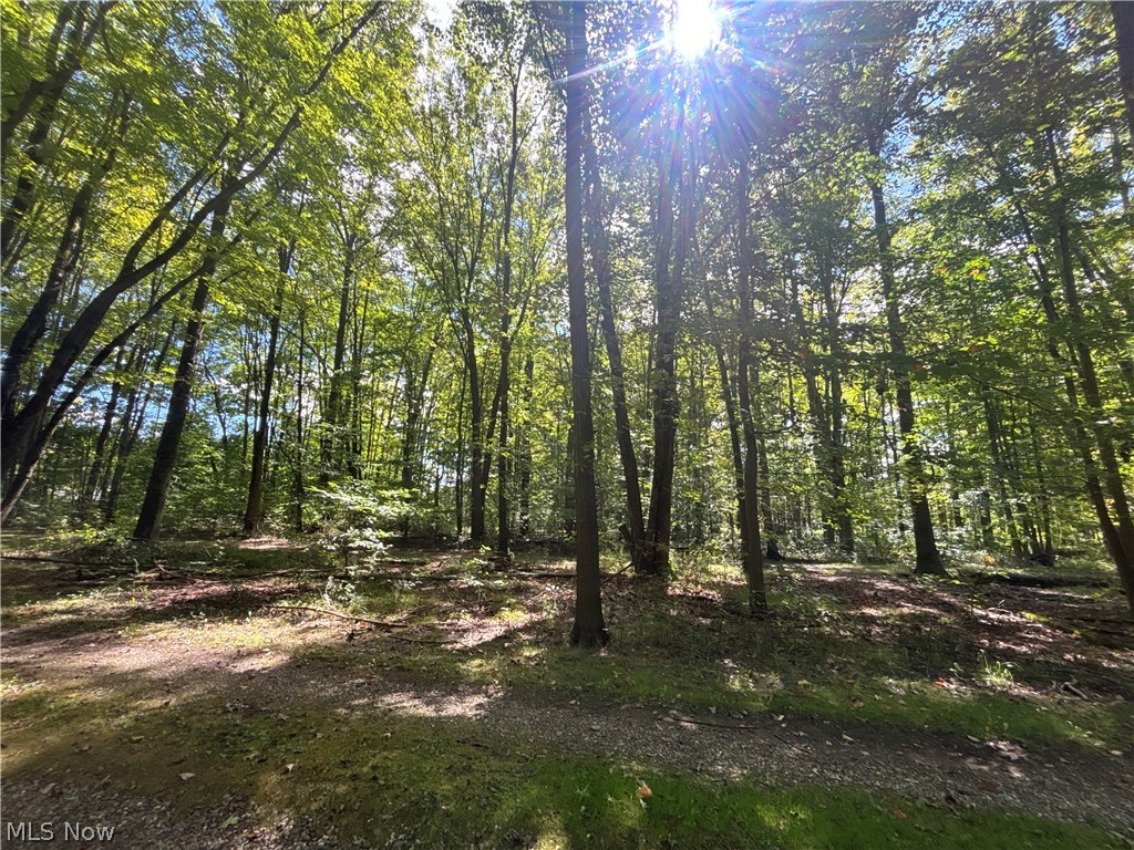 9231 Horn Road Windham OH 44288