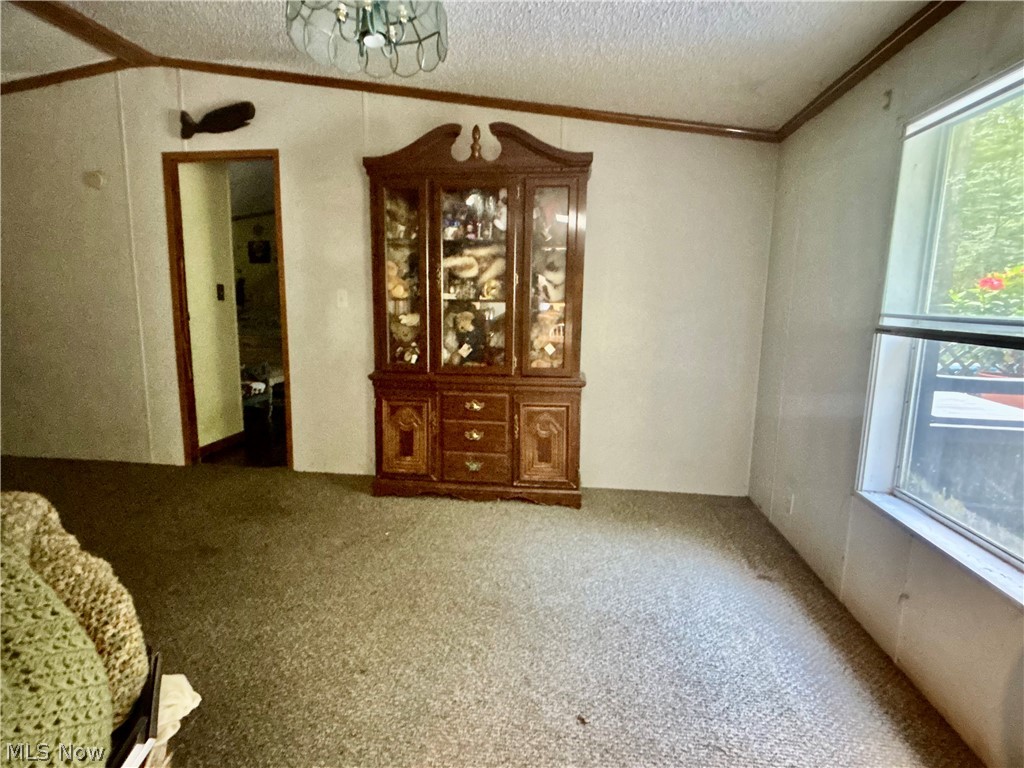 9231 Horn Road Windham OH 44288
