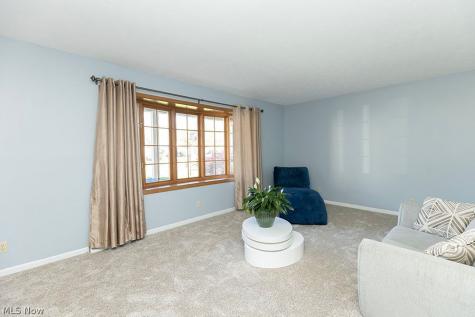 153 Xavier Street Elyria OH 44035