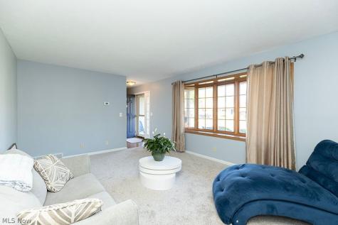 153 Xavier Street Elyria OH 44035