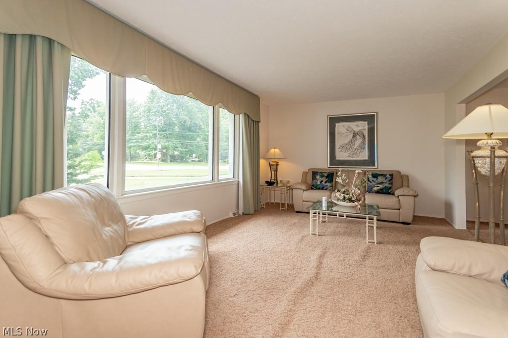 23921 Harms Road Richmond Heights OH 44143