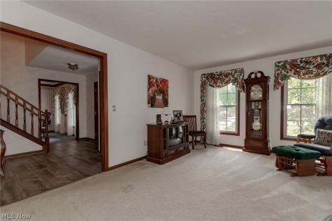 7361 Colt Drive Mentor OH 44060