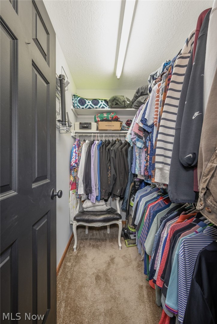 1238 Maxfli Drive Akron OH 44312