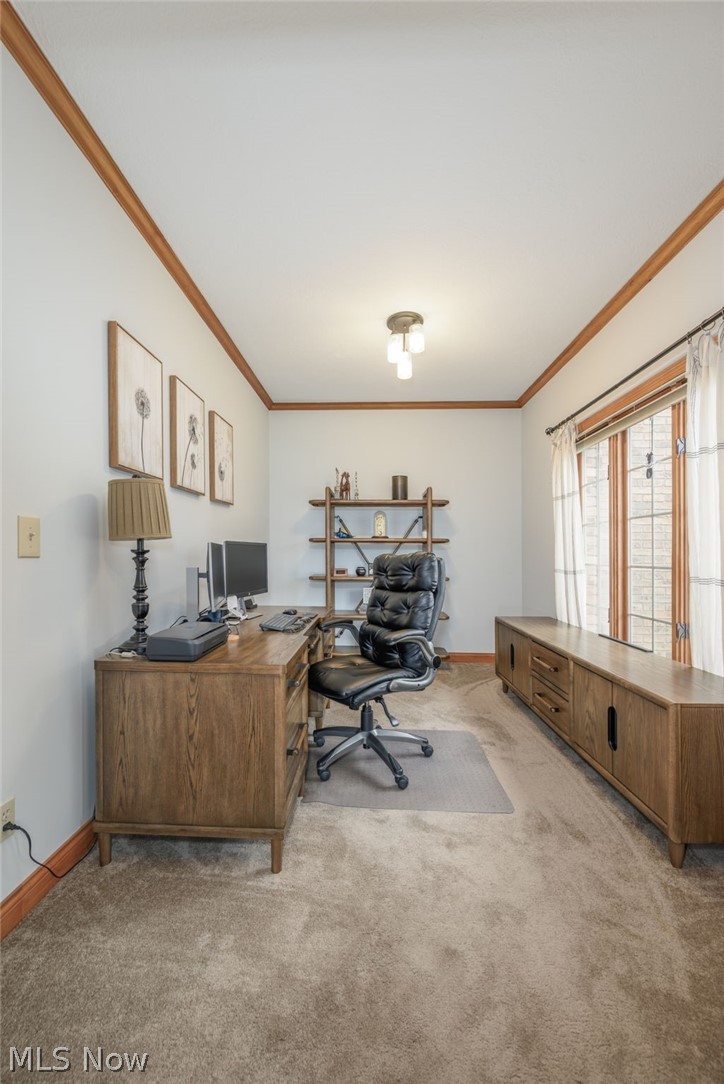 1238 Maxfli Drive Akron OH 44312