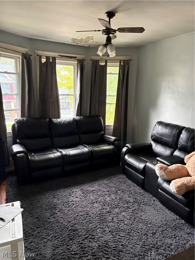 2161 W 101st Street Cleveland OH 44102