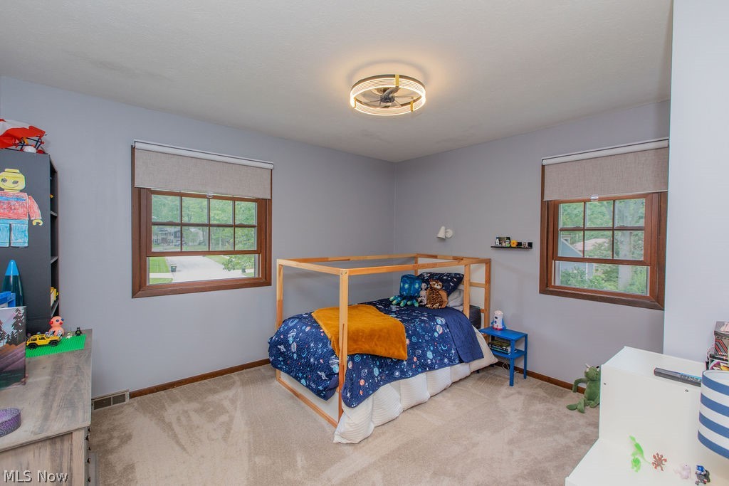 209 James Circle Avon Lake OH 44012
