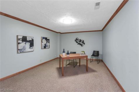 30536 Mallard Cove Westlake OH 44145
