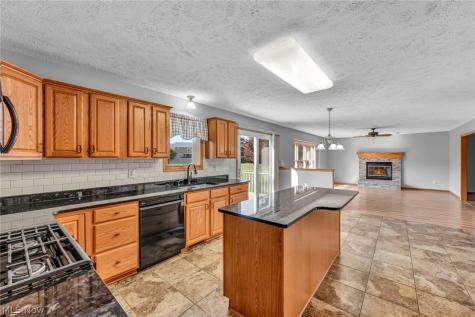 9454 Deer Hollow Drive Mentor OH 44060