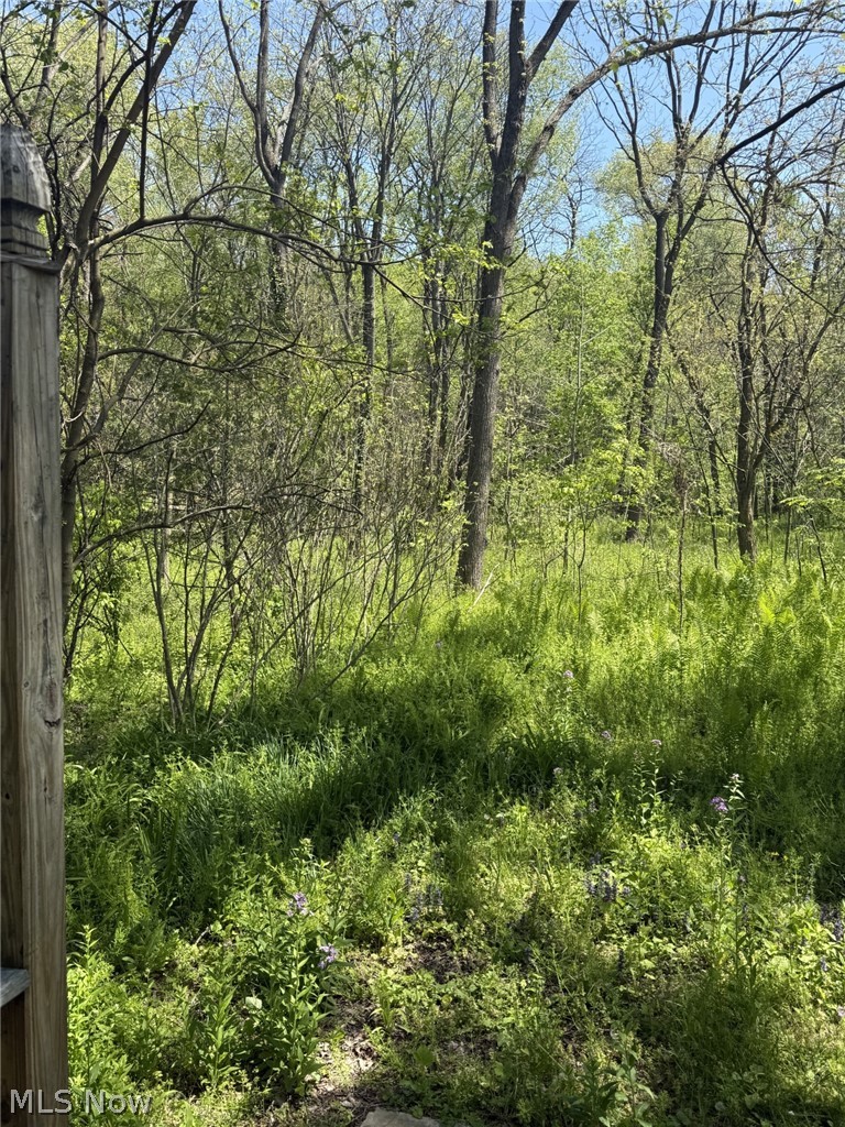 4190 Grafton Road Leetonia OH 44431