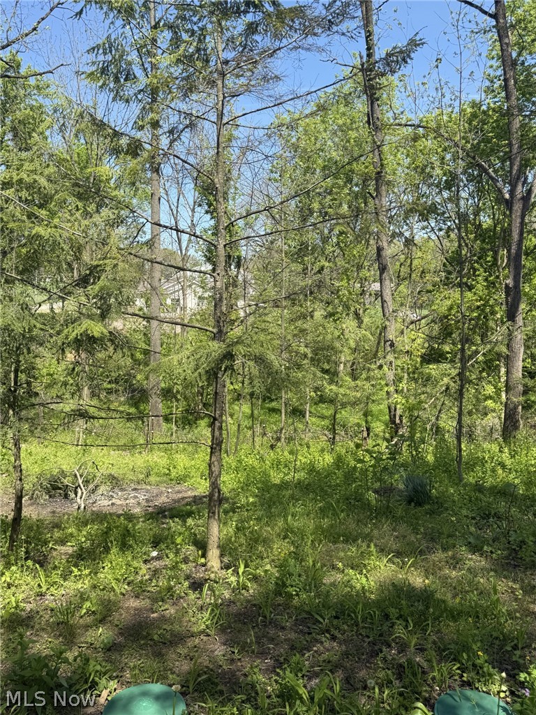 4190 Grafton Road Leetonia OH 44431