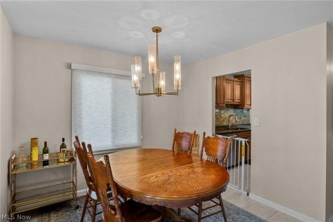6472 Lafayette Drive Mentor OH 44060