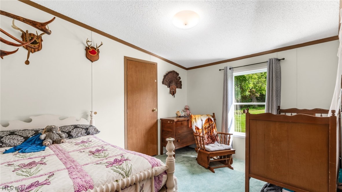 62496 Leatherwood Road Cambridge OH 43725