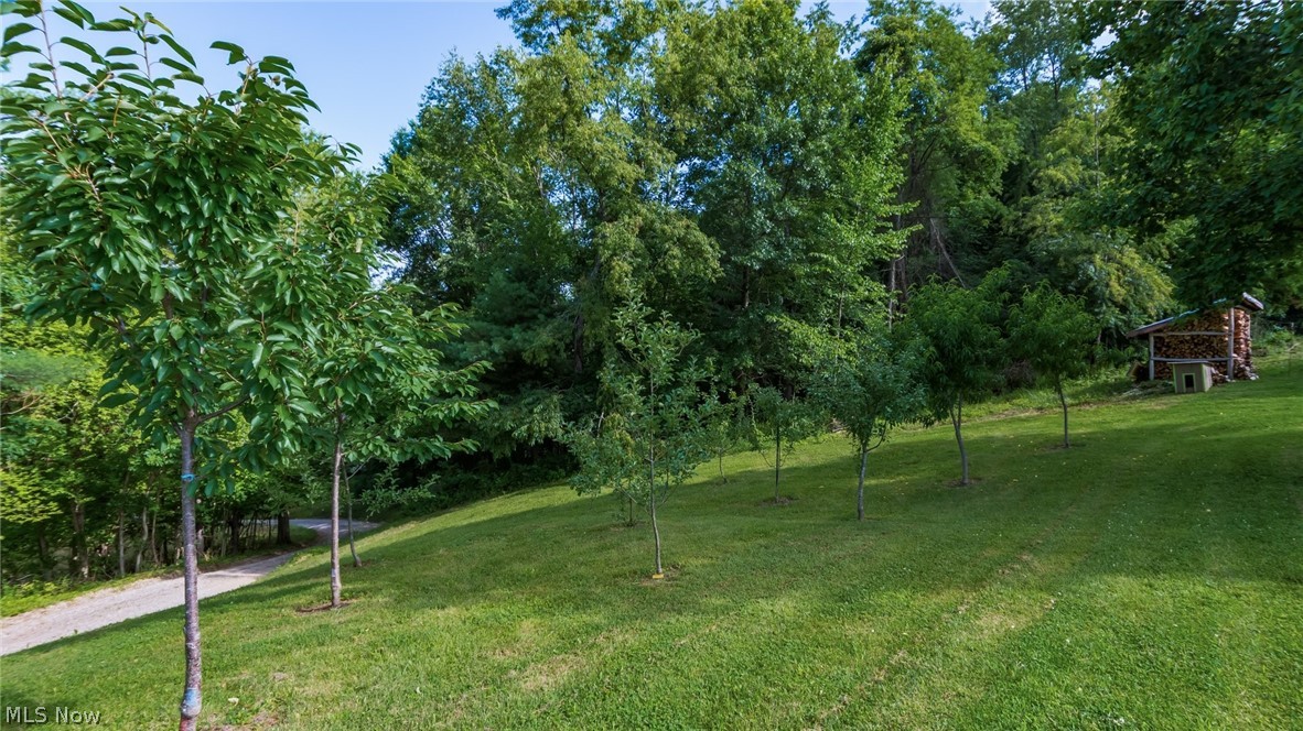 62496 Leatherwood Road Cambridge OH 43725