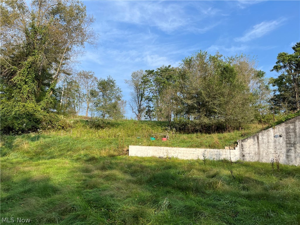 102 Mynster Lane Richmond OH 43944