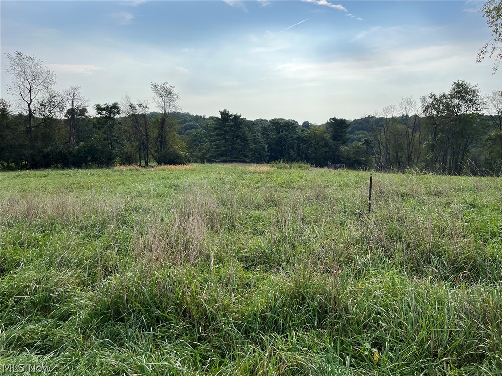 102 Mynster Lane Richmond OH 43944