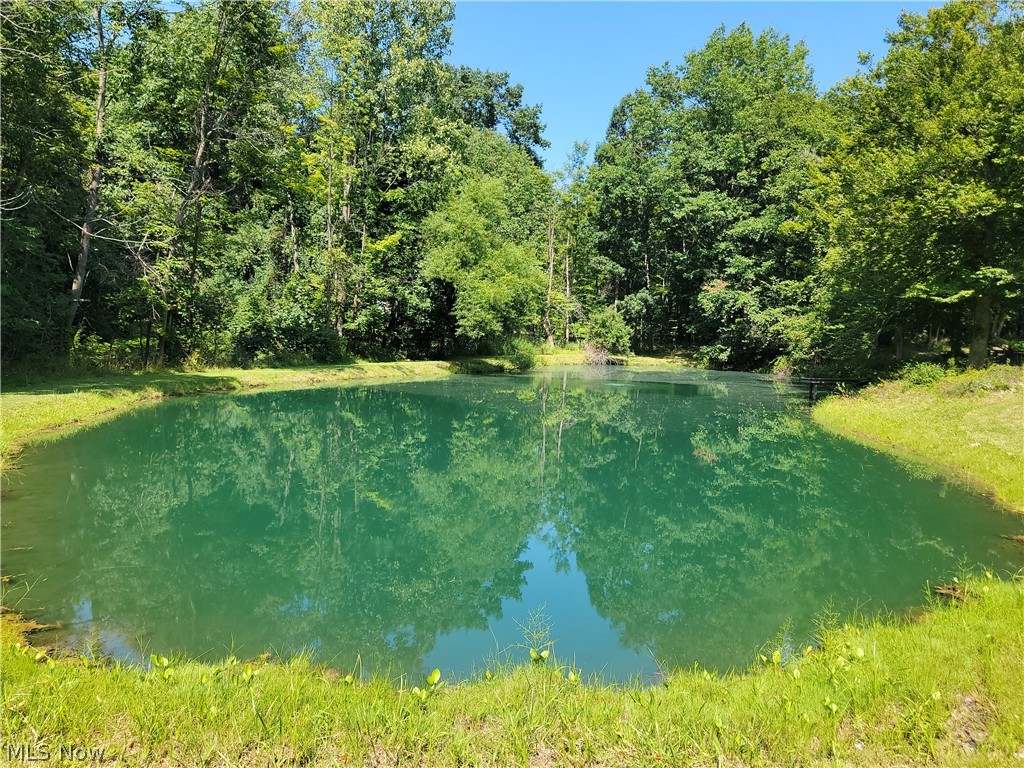 5945 Deerview Lane Medina OH 44256