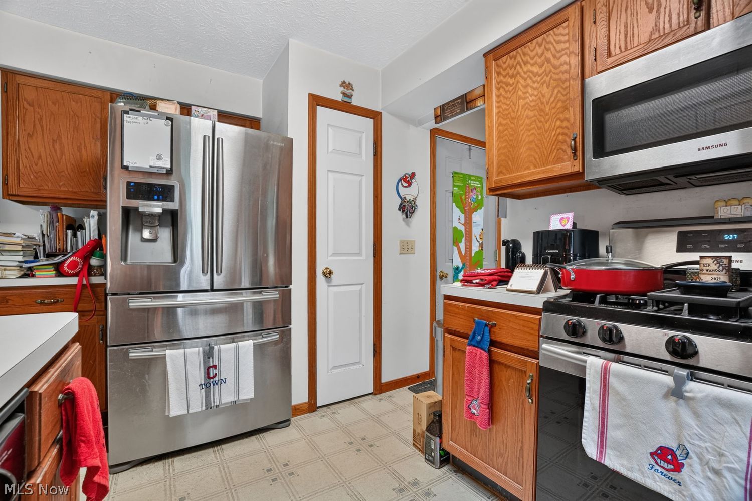447 E Bayberry Court E Painesville OH 44077