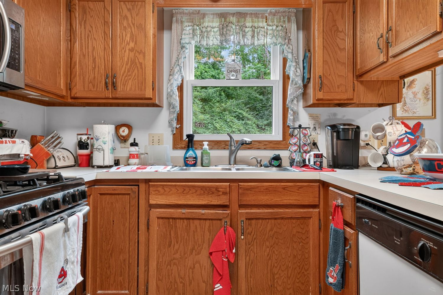 447 E Bayberry Court E Painesville OH 44077