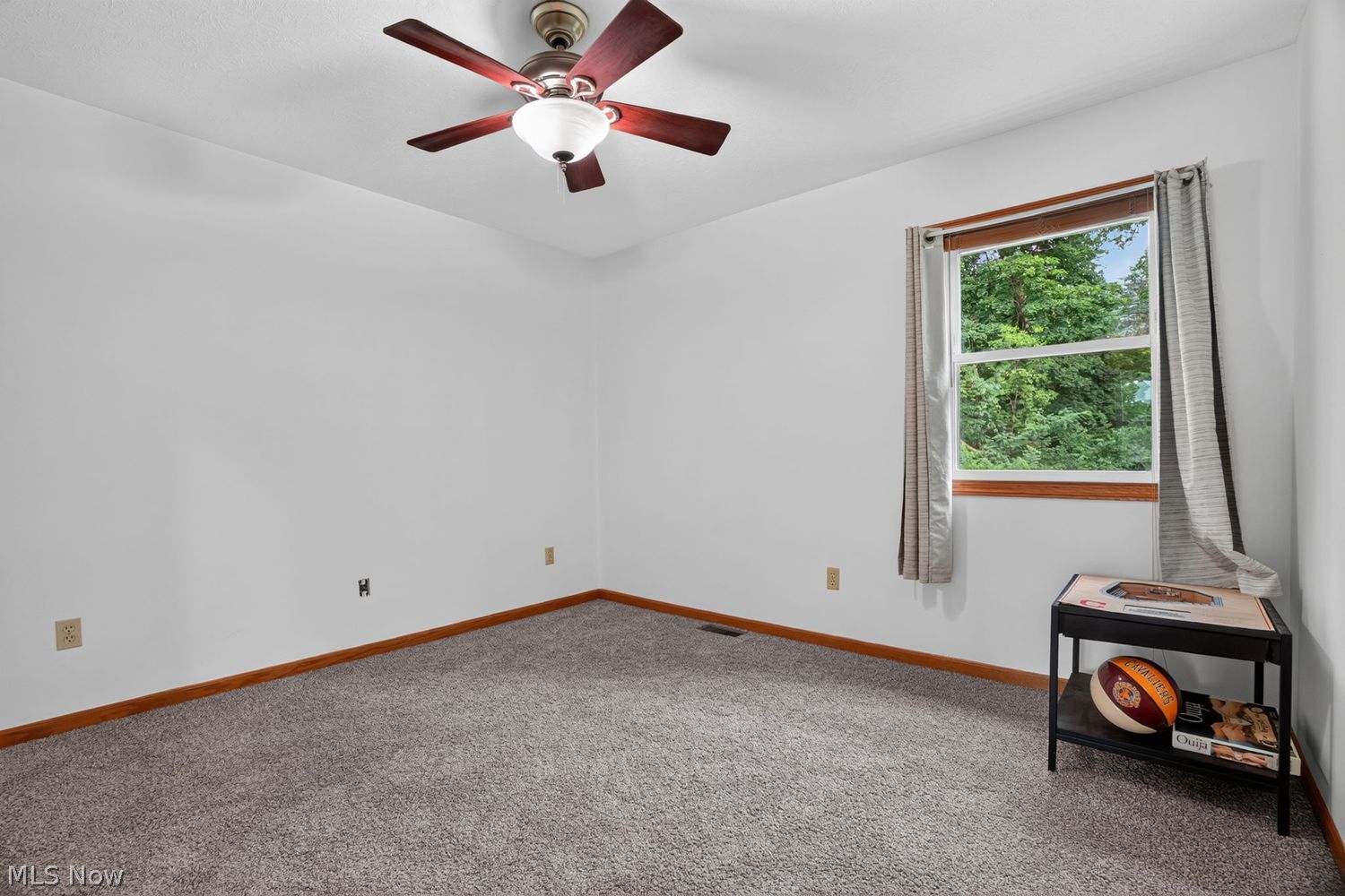 447 E Bayberry Court E Painesville OH 44077