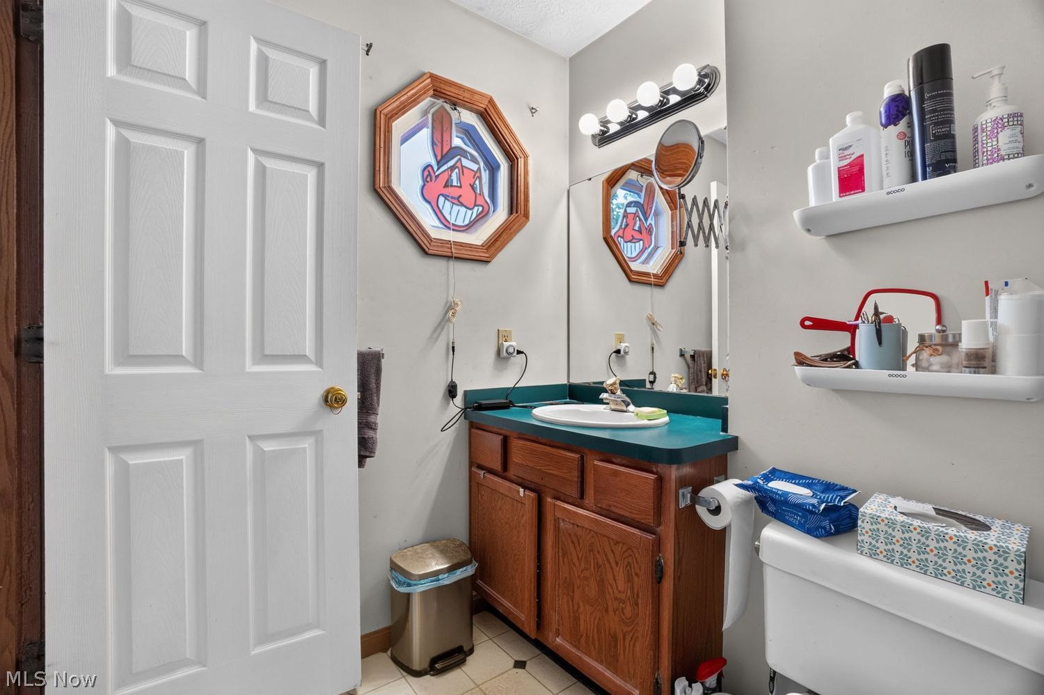 447 E Bayberry Court E Painesville OH 44077