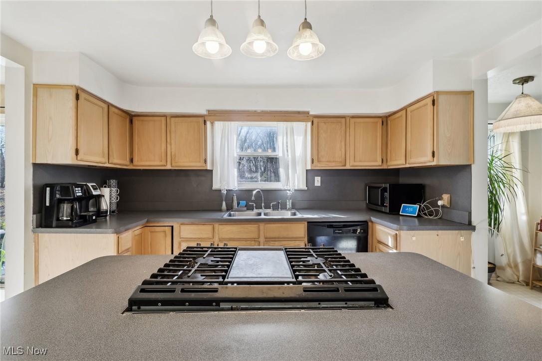 2986 Bishop Road Willoughby Hills OH 44092
