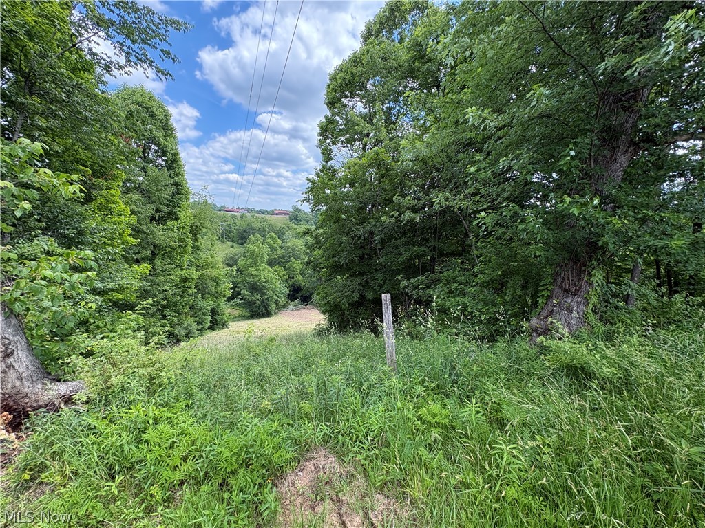 49628 Cain Ridge Road Clarington OH 43915
