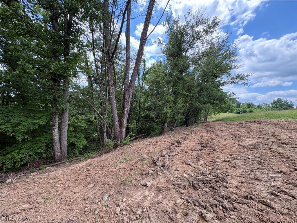 49628 Cain Ridge Road Clarington OH 43915