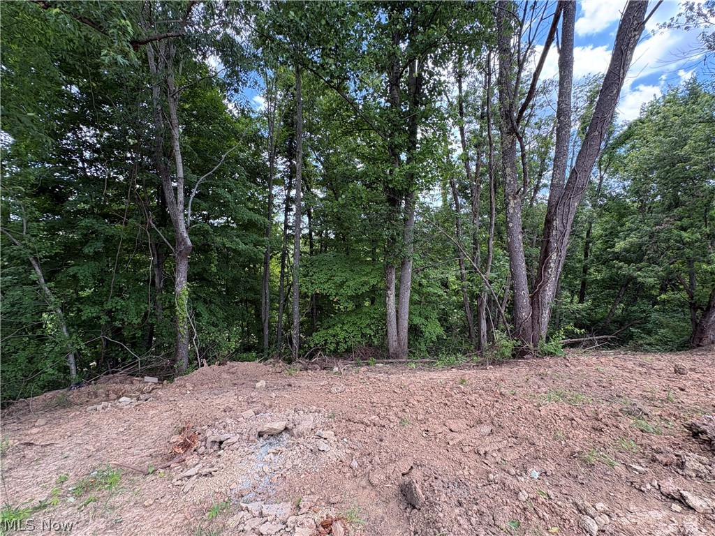 49628 Cain Ridge Road Clarington OH 43915