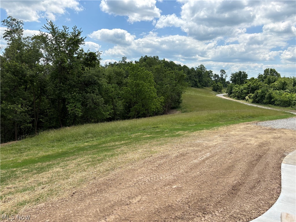 49628 Cain Ridge Road Clarington OH 43915