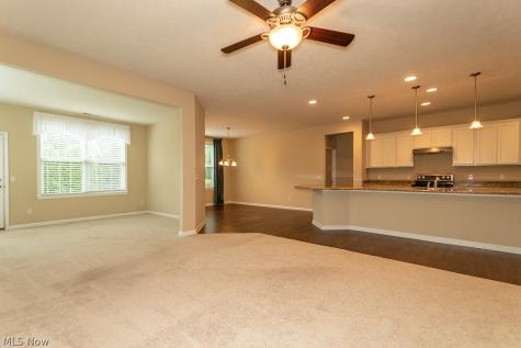 7967 Dovegate Drive Mentor OH 44060