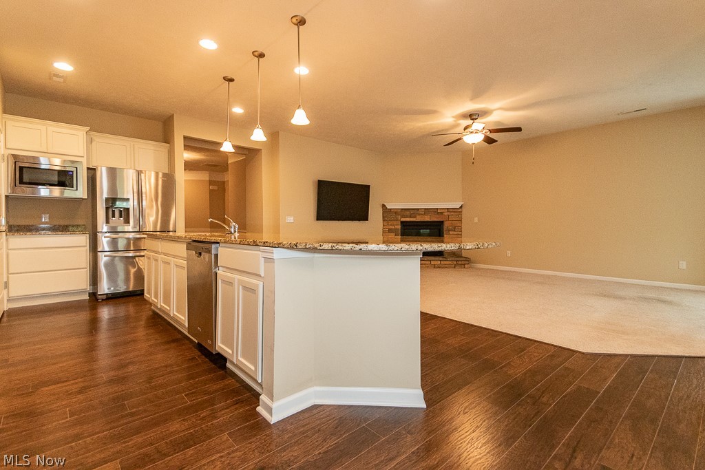 7967 Dovegate Drive Mentor OH 44060