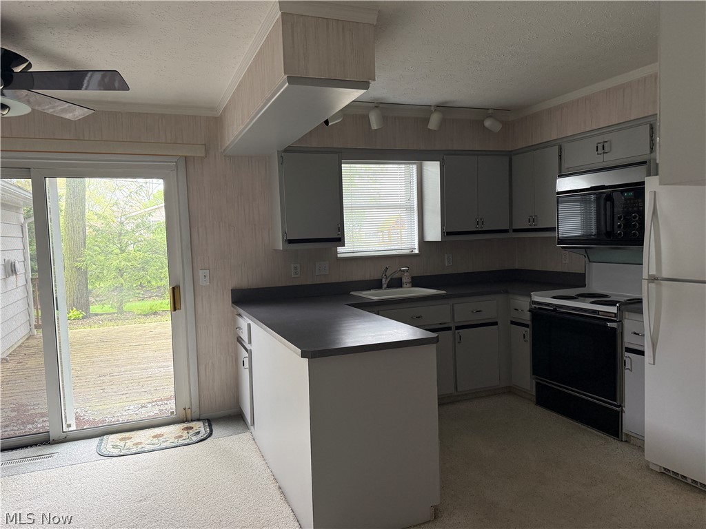26958 Hyannisport Drive North Olmsted OH 44070