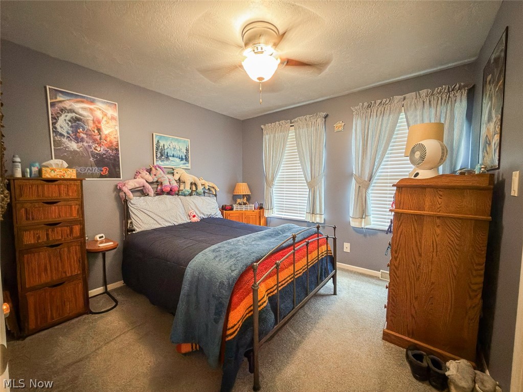 38376 Vincent Lane Lisbon OH 44432