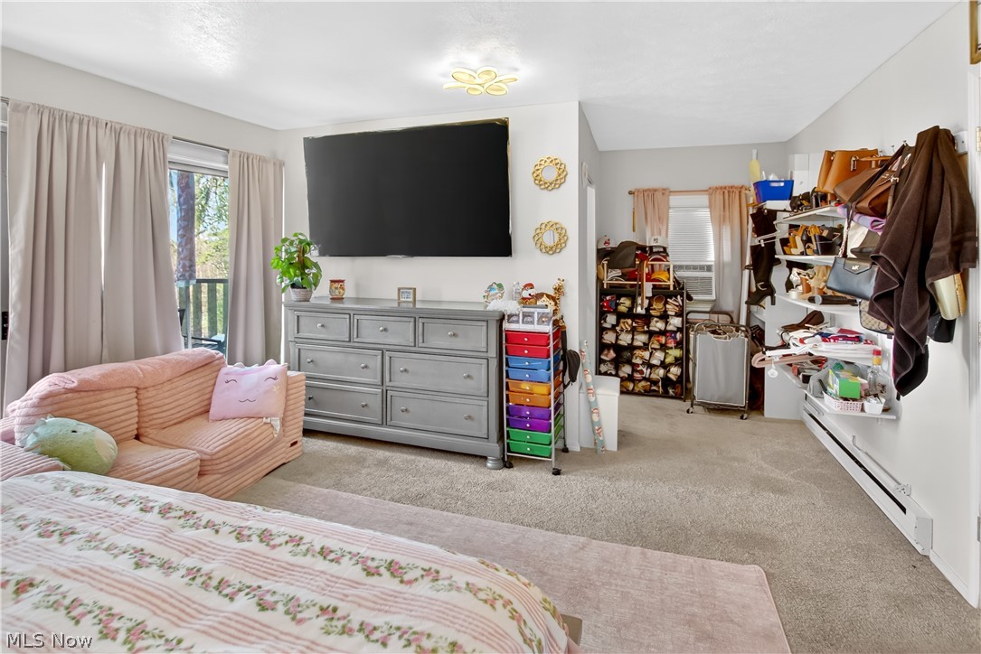 363 Seeley Street Amherst OH 44001