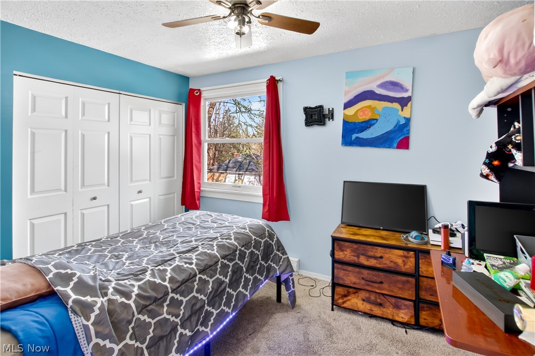 363 Seeley Street Amherst OH 44001
