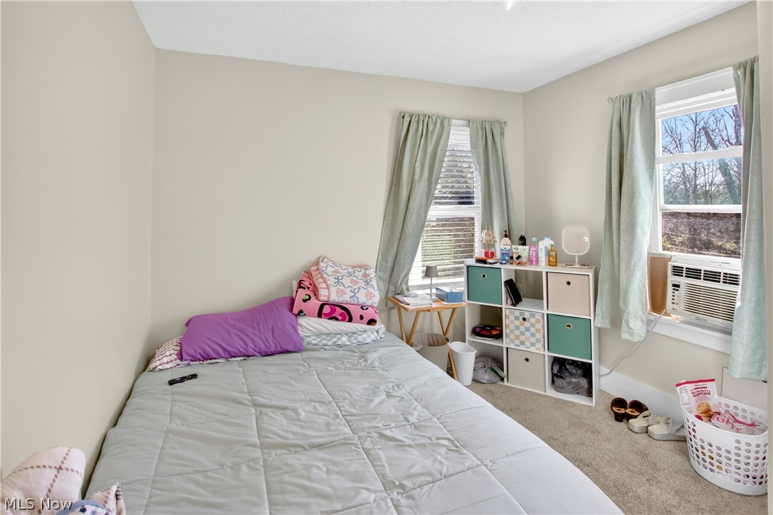 363 Seeley Street Amherst OH 44001