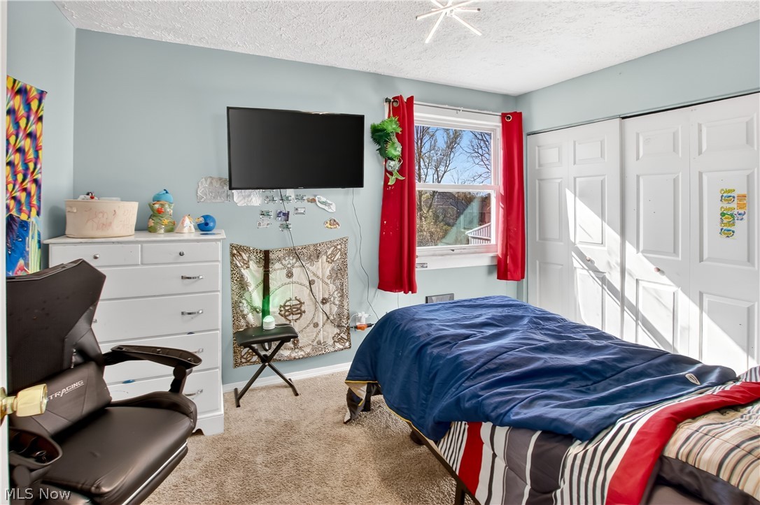 363 Seeley Street Amherst OH 44001