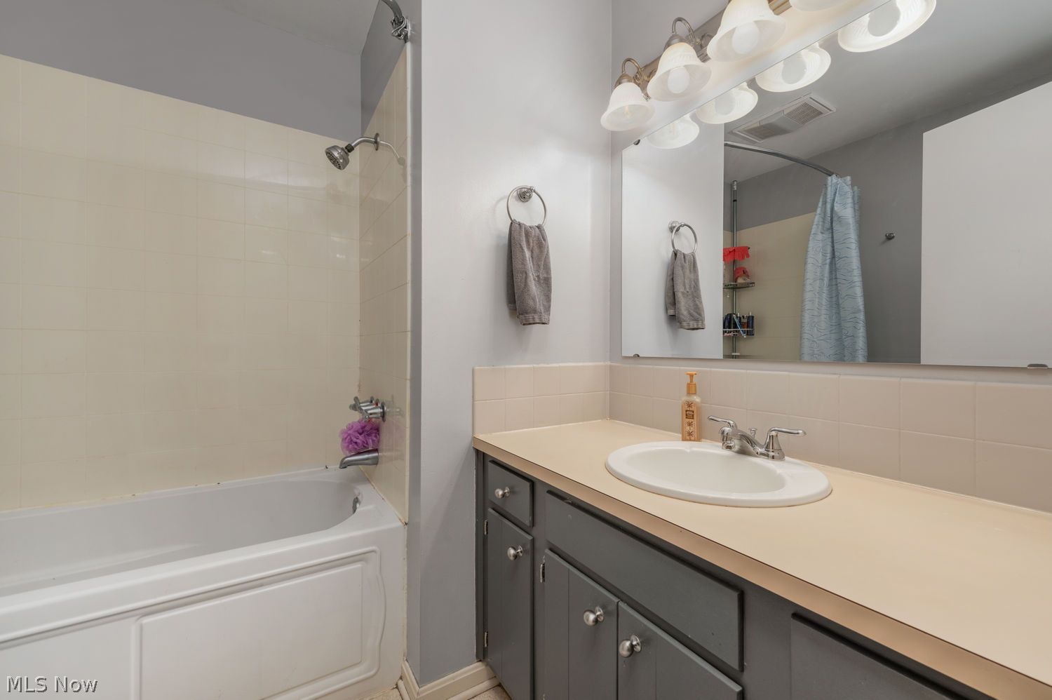 368 Briar Lake Drive Elyria OH 44035