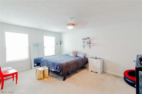 3659 Shady Timber Drive Twinsburg OH 44087