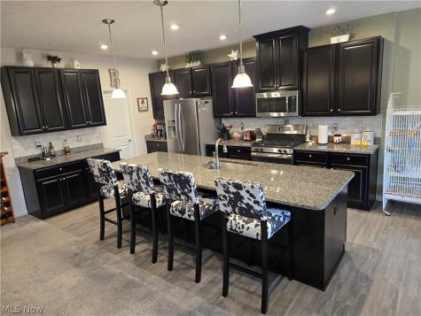 3659 Shady Timber Drive Twinsburg OH 44087