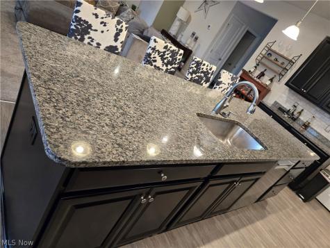 3659 Shady Timber Drive Twinsburg OH 44087