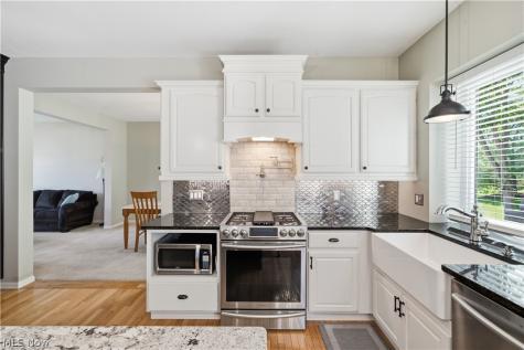 9260 Aaron Lane Olmsted Twp OH 44138