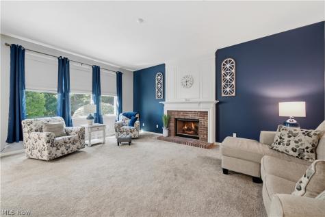 9260 Aaron Lane Olmsted Twp OH 44138