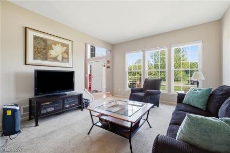 9260 Aaron Lane Olmsted Twp OH 44138