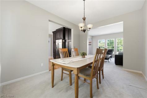 9260 Aaron Lane Olmsted Twp OH 44138