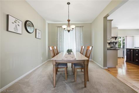 9260 Aaron Lane Olmsted Twp OH 44138