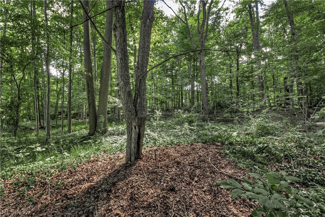 15879 Hemlock Road Chagrin Falls OH 44022