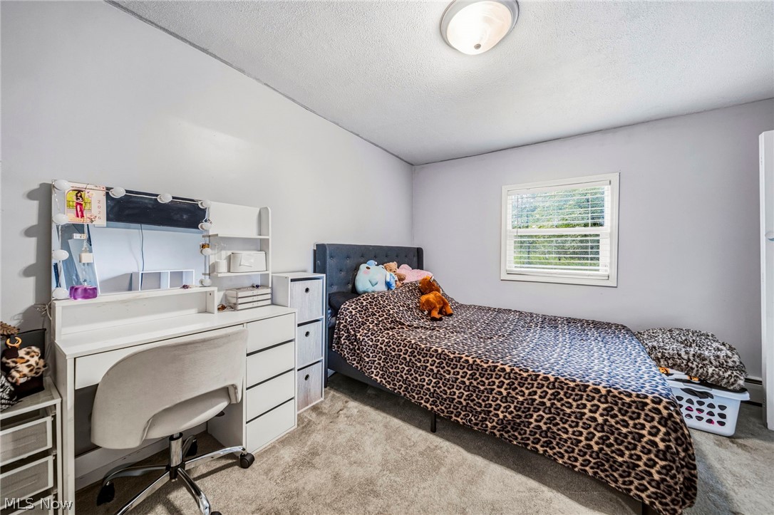 1993 Dadeyville Road Austinburg OH 44010